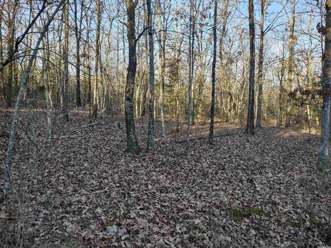 35 Dreamers Ln, Conway, AR 72032 photo 7