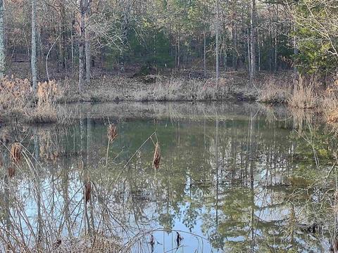 35 Dreamers Ln, Conway, AR 72032 photo 2
