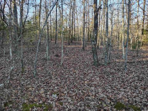 35 Dreamers Ln, Conway, AR 72032 photo 5