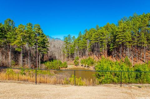 9080 Stone Canyon Dr, Alexander, AR 72002 photo 49