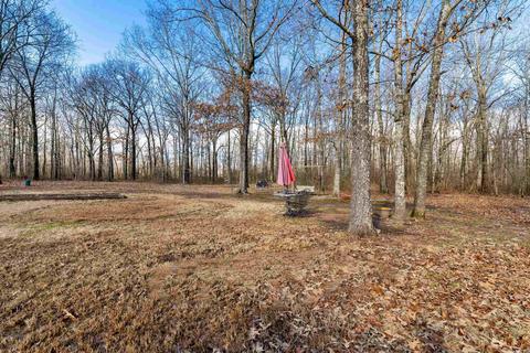 1425 Porter Rd, Austin, AR 72007 photo 30