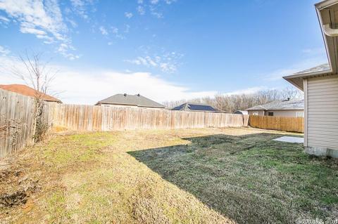 498 Ray Sowell Rd, Austin, AR 72007 photo 40