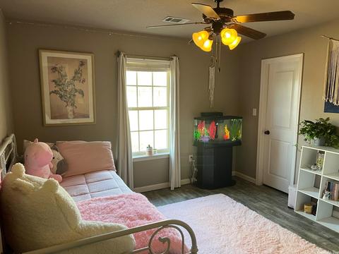 193 Cinel Loop, Austin, AR 72007 photo 10