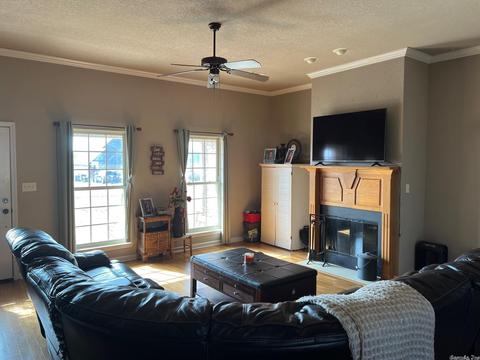 193 Cinel Loop, Austin, AR 72007 photo 3