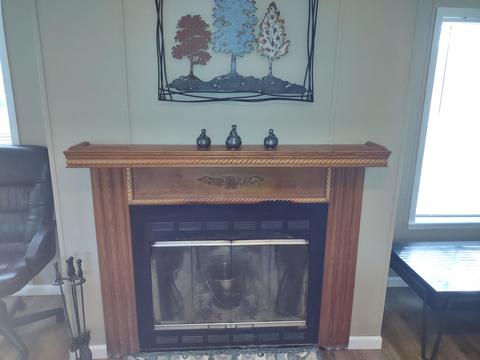 196 Mercer Ln, Bismarck, AR 71929 photo 9