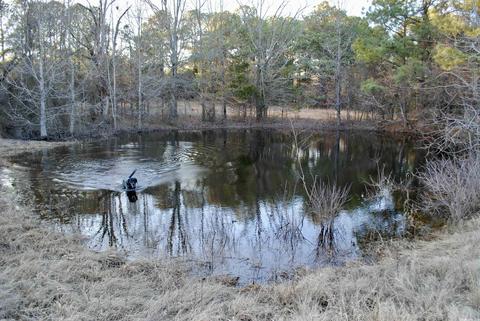 2010 E Justice, Cabot, AR 72023 photo 23