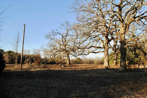 2010 E Justice, Cabot, AR 72023 photo 39
