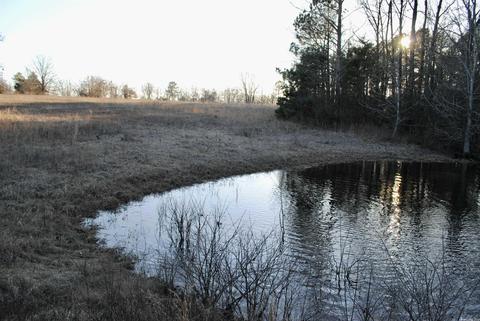 2010 E Justice, Cabot, AR 72023 photo 25