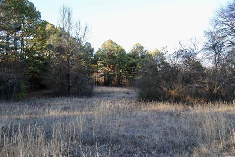 2010 E Justice, Cabot, AR 72023 photo 28