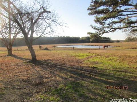 560 Mt Elba Rd E, Rison, AR 71665 photo 7