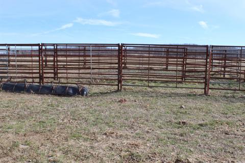 3751 Star Mountain Rd, Marshall, AR 72650 photo 43