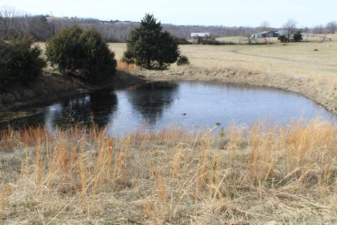 3751 Star Mountain Rd, Marshall, AR 72650 photo 44