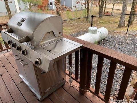 110 Cedar Dr, Mena, AR 71953 photo 18