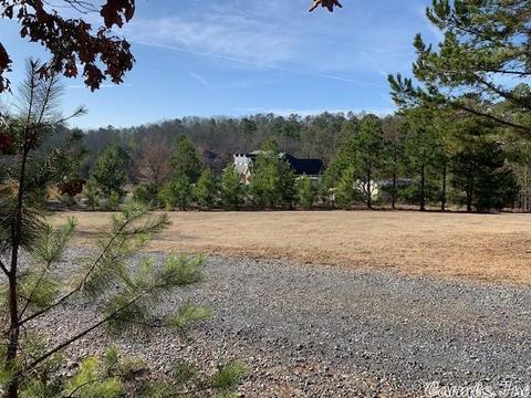 110 Cedar Dr, Mena, AR 71953 photo 20