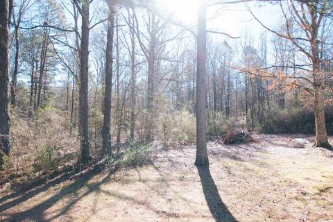 9009 Sinor Rd, Mabelvale, AR 72103 photo 24