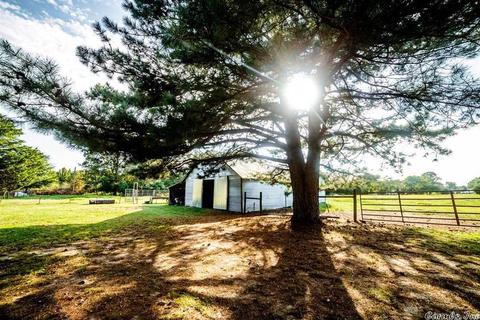 14 Belle Dr, Guy, AR 72061 photo 29