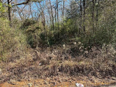 12 Trina Loop, Greenbrier, AR 72058 photo 2