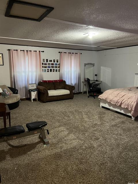 368 Moore Loop, Bismarck, AR 71929 photo 12
