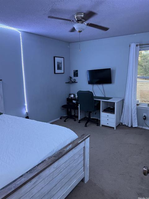 368 Moore Loop, Bismarck, AR 71929 photo 13