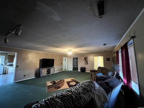 1372 Cr 508, Rector, AR 72461 photo 16