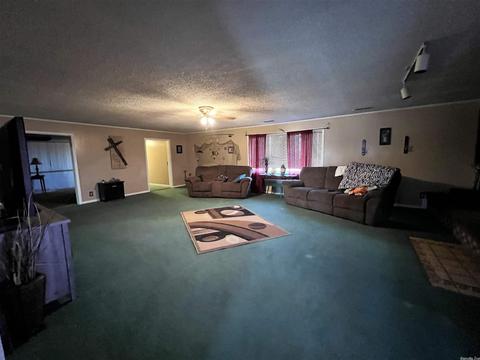 1372 Cr 508, Rector, AR 72461 photo 18