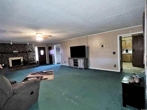 1372 Cr 508, Rector, AR 72461 photo 22