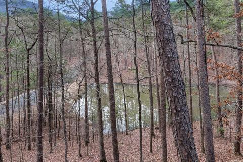 2 Pinewood Dr, Mount Ida, AR 71957 photo 47