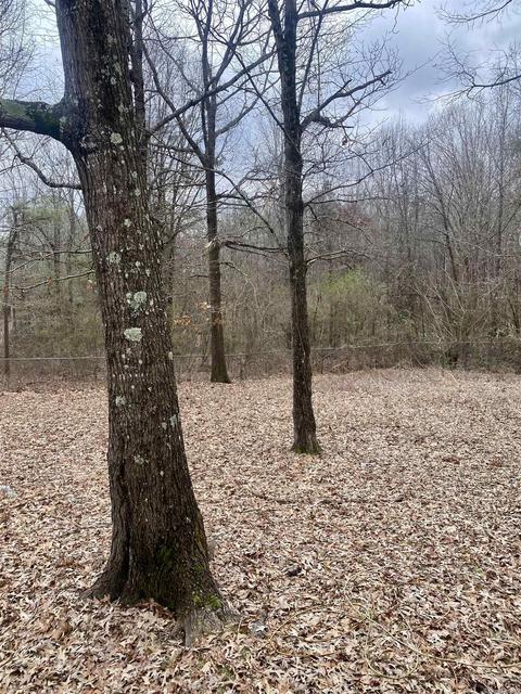 6919 Barnes Dr, Mabelvale, AR 72103 photo 19