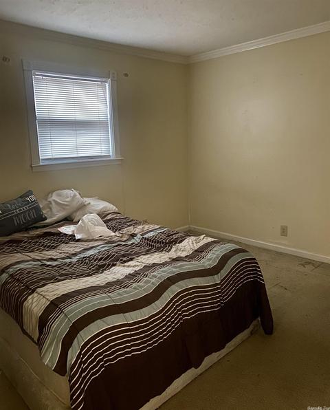 6919 Barnes Dr, Mabelvale, AR 72103 photo 13