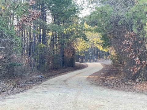 1516 Grant 25, Grapevine, AR 72057 photo 29