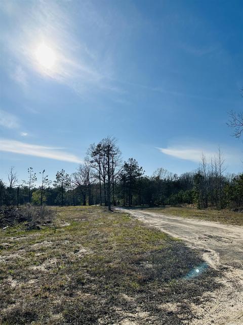 6193 Highway 54, Pine Bluff, AR 71603 photo 6