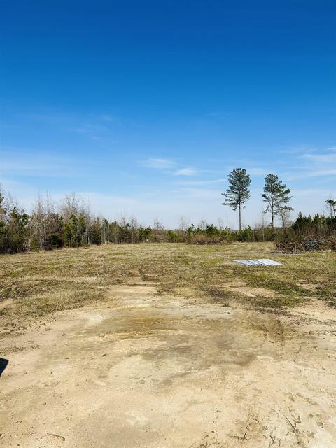 6193 Highway 54, Pine Bluff, AR 71603 photo 5
