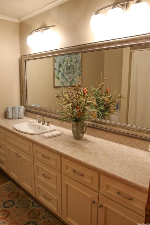 1228 Hwy 69, Trumann, AR 72472 photo 19