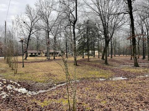 11200 Hinds Rd, Benton, AR 72019 photo 6