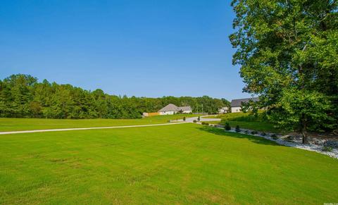 109 Ryker Ln, Benton, AR 72019 photo 50