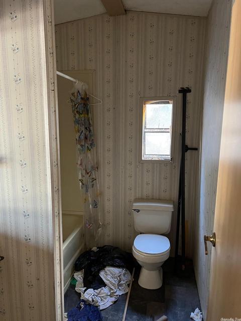 21 Mulberry, Guy, AR 72061 photo 13