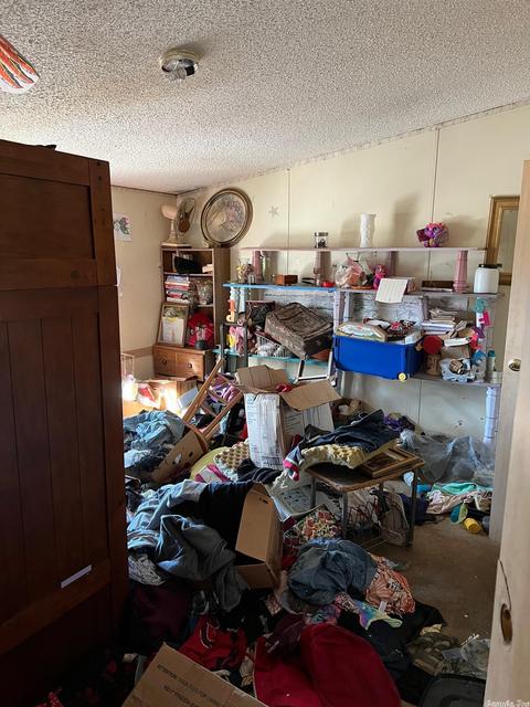 21 Mulberry, Guy, AR 72061 photo 7