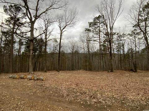970 Pine Hill Dr, Mountain View, AR 72560 photo 9
