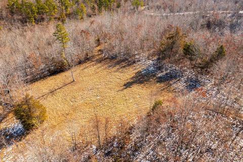 970 Pine Hill Dr, Mountain View, AR 72560 photo 4