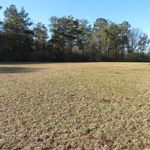 580 Mt Elba East Rd, Rison, AR 71665 photo 9