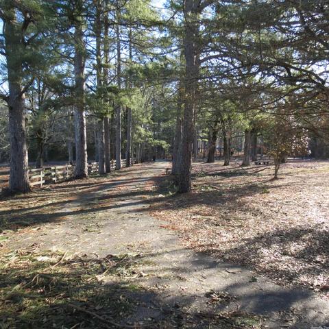 580 Mt Elba East Rd, Rison, AR 71665 photo 8