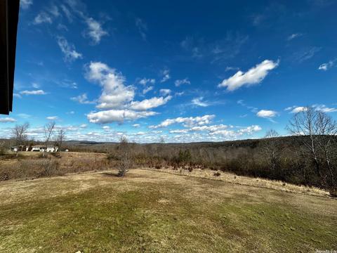 584 Blossom Loop, Clinton, AR 72031 photo 22