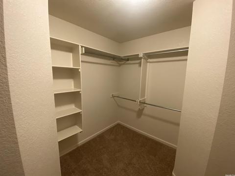 13056 Skyridge Cv, Alexander, AR 72002 photo 16
