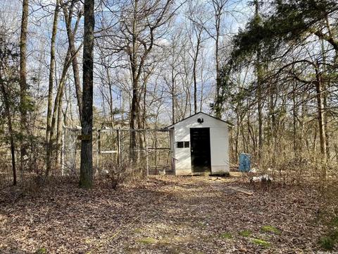 6353 Highway 87, Mountain View, AR 72560 photo 26