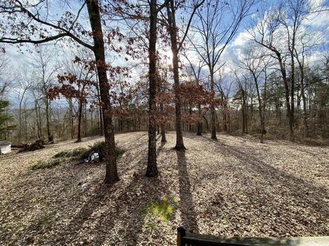 6353 Highway 87, Mountain View, AR 72560 photo 2