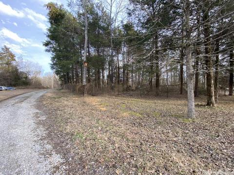 6353 Highway 87, Mountain View, AR 72560 photo 30
