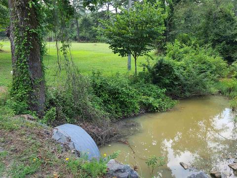 180 Pine Vly, Conway, AR 72034 photo 4
