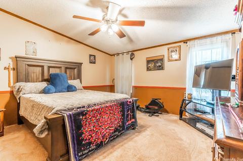 260 Future Ln, Pangburn, AR 72121 photo 13