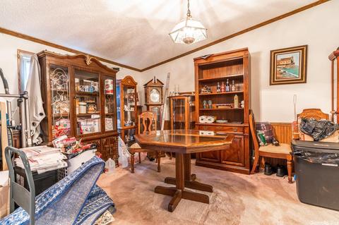 260 Future Ln, Pangburn, AR 72121 photo 12