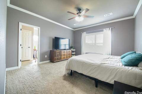 728 Mango Loop, Austin, AR 72007 photo 22